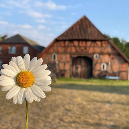 Ferienwohnung Elbsegler Bleckede Exteriér fotografie