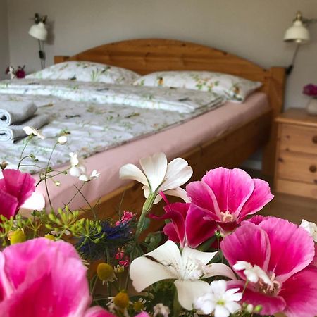 Ferienwohnung Elbsegler Bleckede Exteriér fotografie