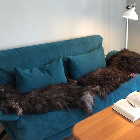 Ferienwohnung Elbsegler Bleckede Exteriér fotografie