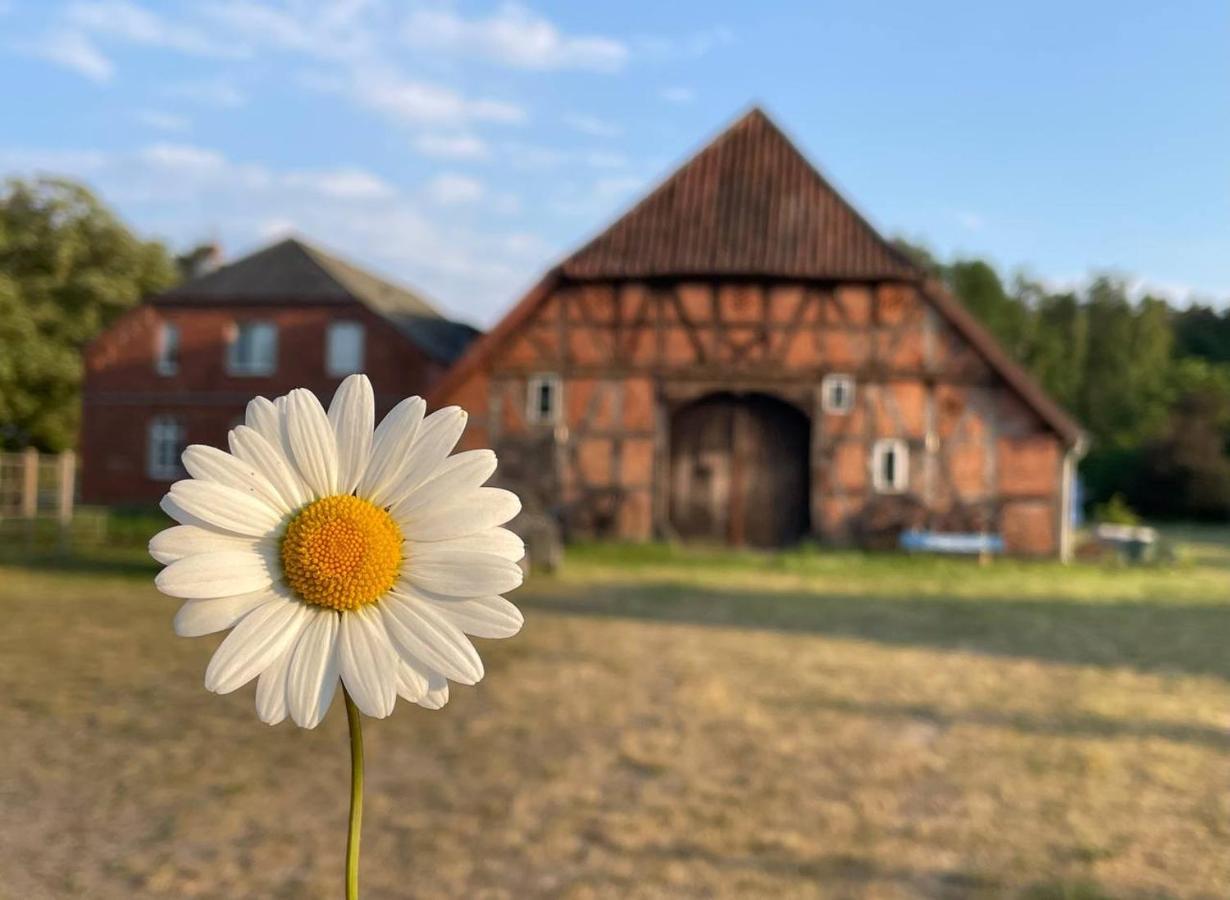 Ferienwohnung Elbsegler Bleckede Exteriér fotografie