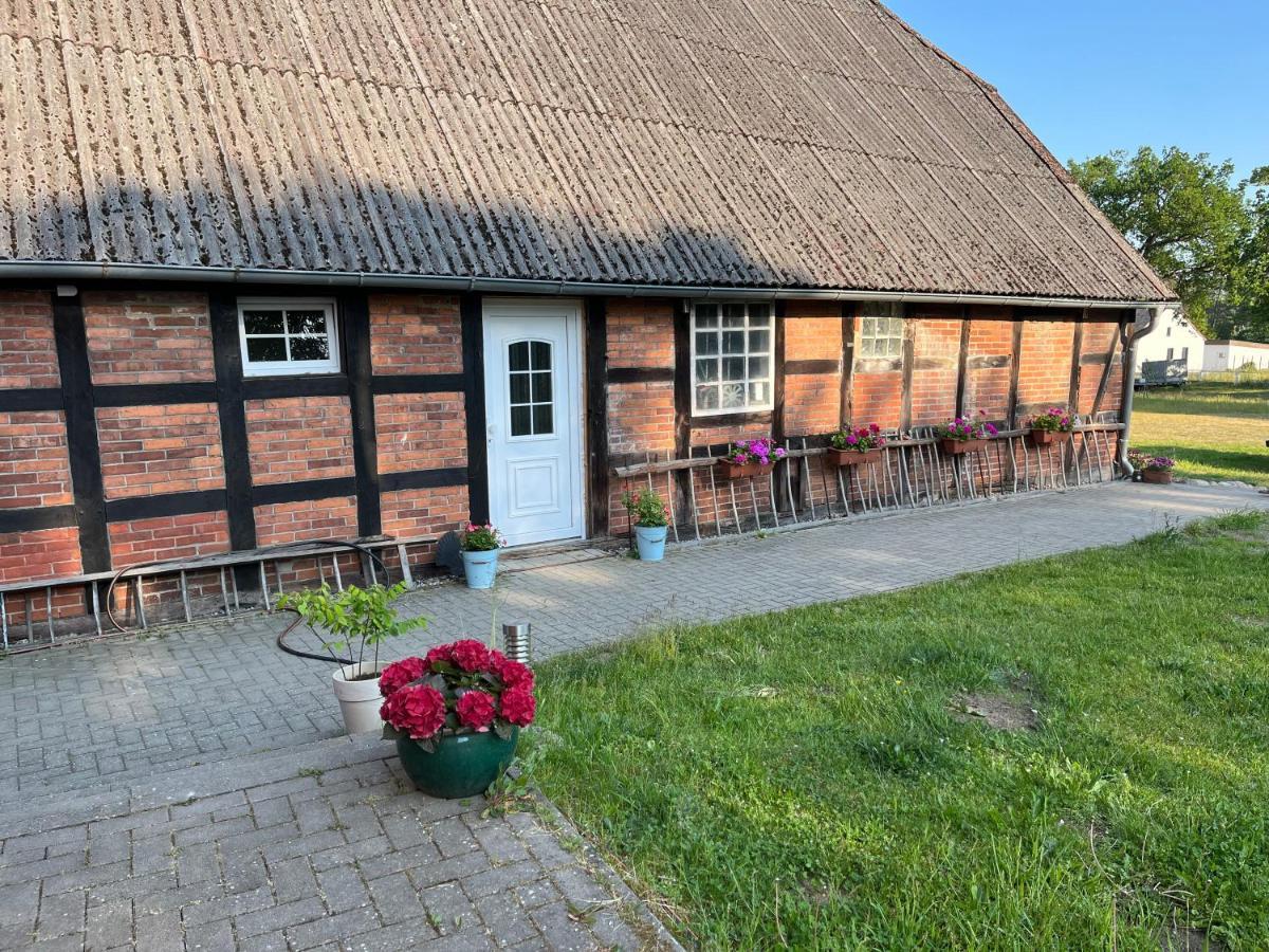 Ferienwohnung Elbsegler Bleckede Exteriér fotografie